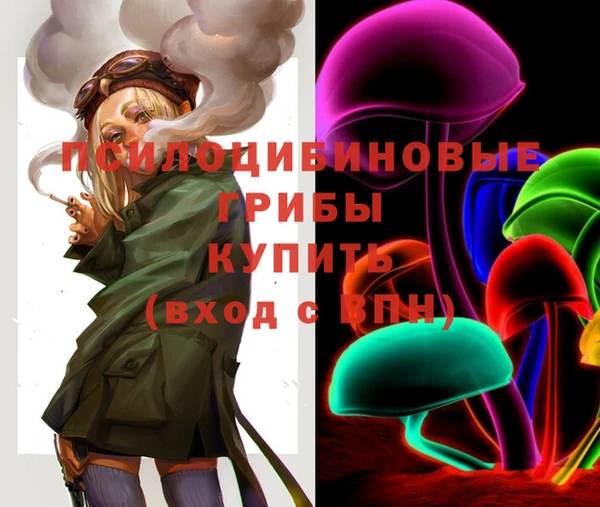 каннабис Новозыбков