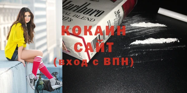 каннабис Новозыбков