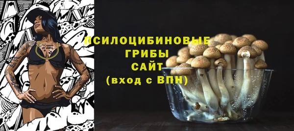 дурь Новокубанск