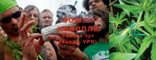 каннабис Новозыбков