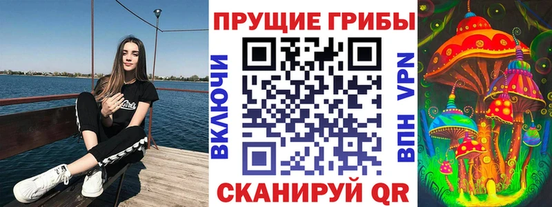 Купить закладки  Тейково  Псилоцибиновые грибы Magic Shrooms 